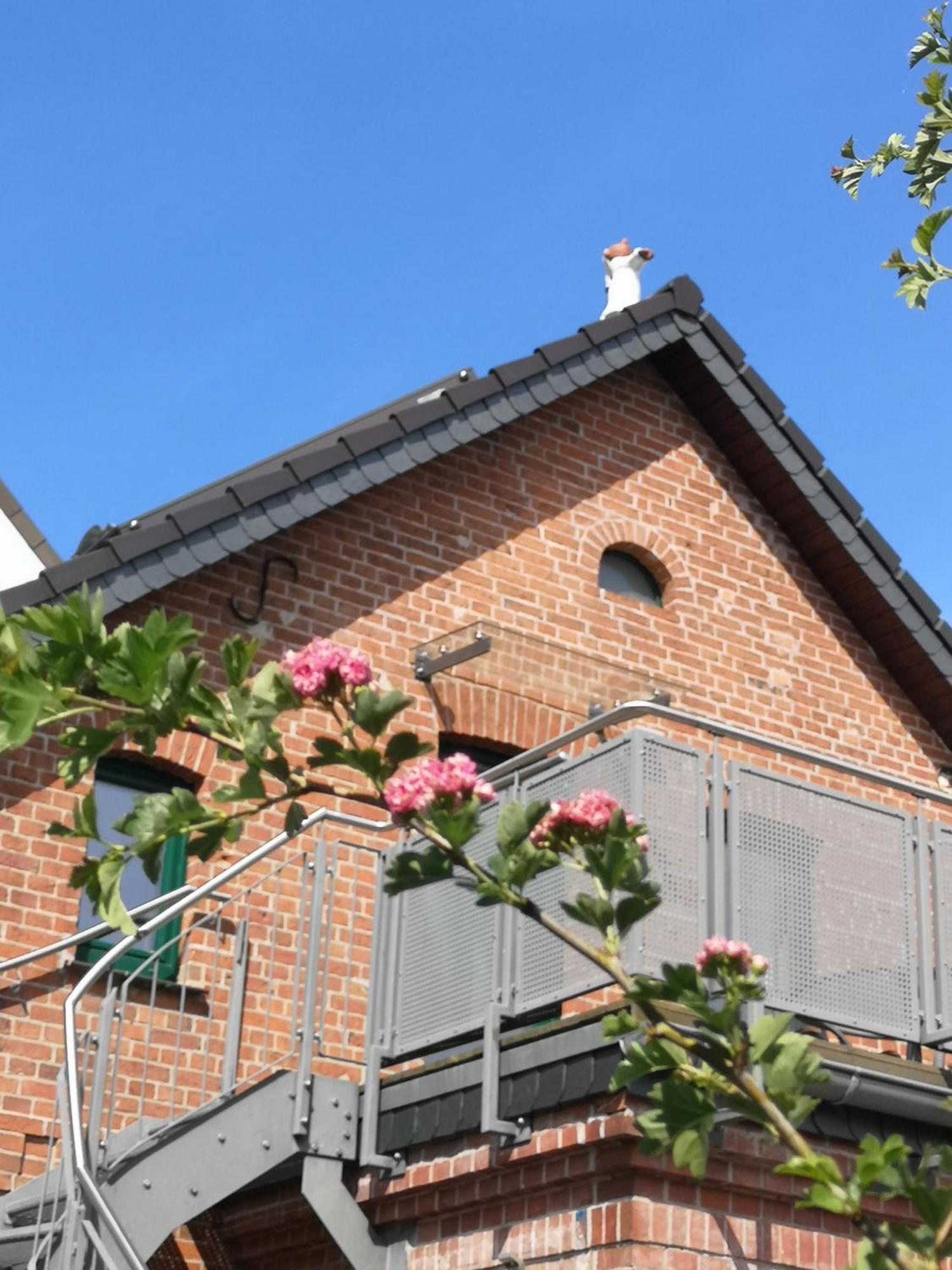 Ferienwohnung Im Vogelhaus Mit Dachterasse Und Grossem Garten Calau المظهر الخارجي الصورة